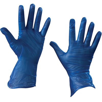 Vinyl Gloves - Blue - 5 Mil - Powder Free - Large