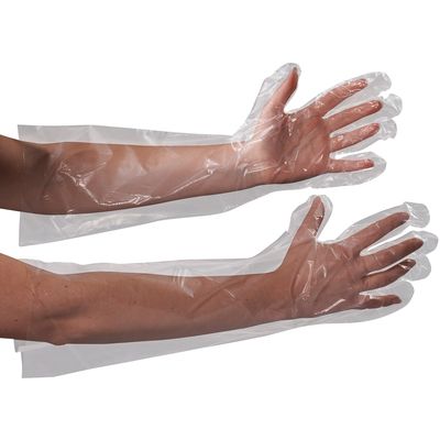 Clear Poly Gloves 18" Elbow Length