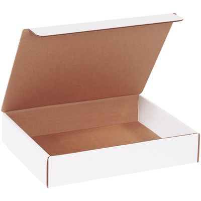 10 1/4 x 8 1/4 x 2" White Literature Mailers