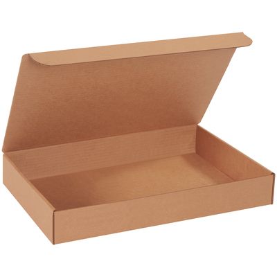 17 x 11 x 2 1/2" Kraft Literature Mailers